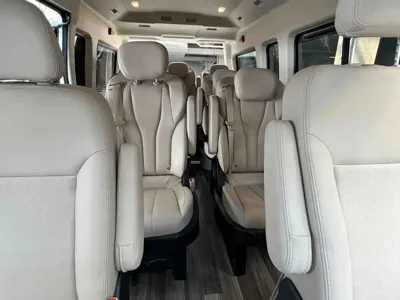 Maxus V80