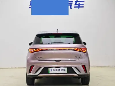 BYD Dolphin