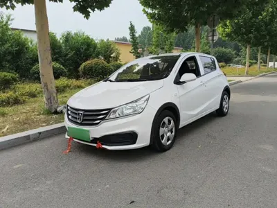 Baojun 310