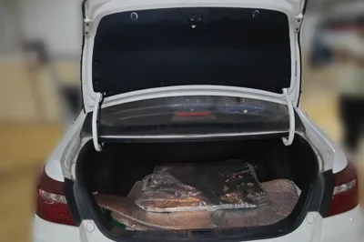 Geely Auto Vision