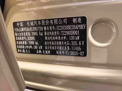 Tank Tank 300 New Energy
