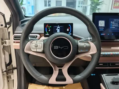 BYD Seagull