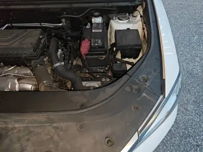 BYD Pro