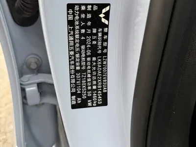 Wuling Bingo