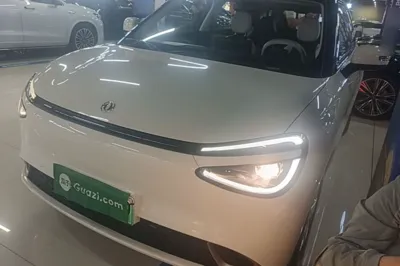 Dongfeng NAMMI 01