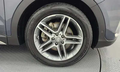 Hyundai Maxcruz