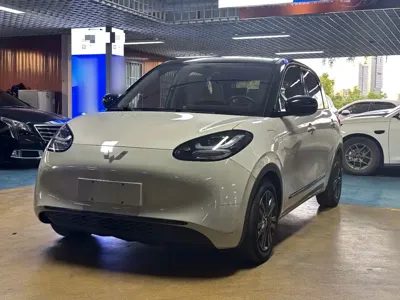 Wuling Bingo