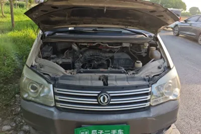 Forthing Lingzhi