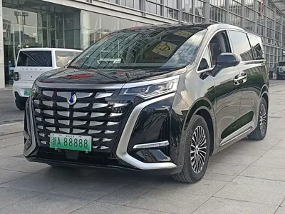 Denza Denza D9