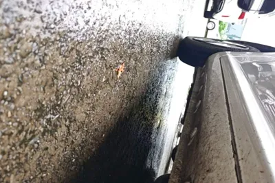 CHANGAN NEVO Lumin