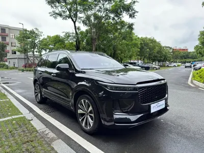 Li Auto Li ONE