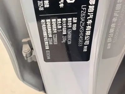 Leapmotor Leapmotor C10