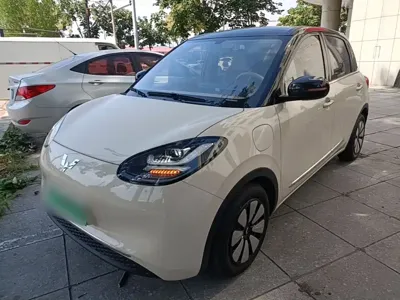 Wuling Bingo