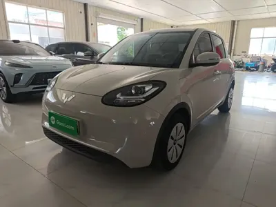 Wuling Bingo