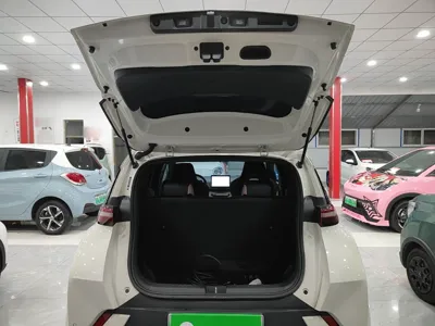 BYD Seagull