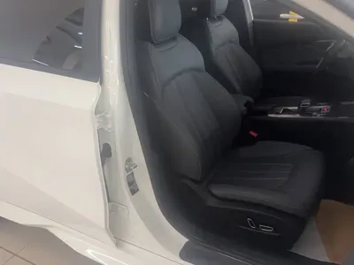 GAC Motor Shadow Leopard