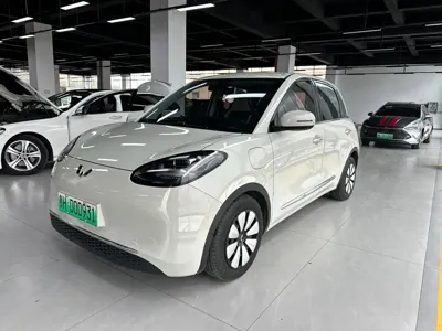 Wuling Bingo