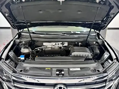 Volkswagen Viloran