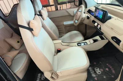 Geely Galaxy Panda