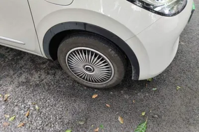 Wuling Bingo