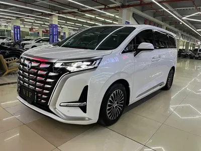 Denza Denza D9