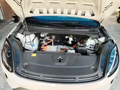 Wuling 缤果S