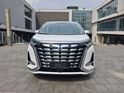 Denza Denza D9
