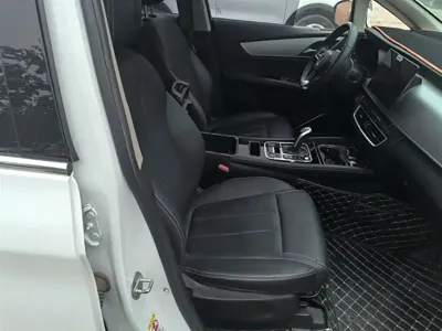 BYD MAX