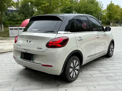 Wuling Bingo