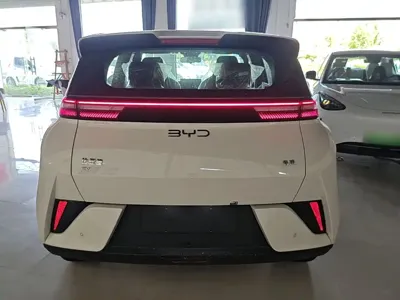 BYD Seagull