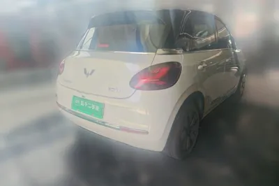 Wuling Bingo
