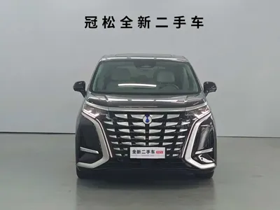Denza Denza D9