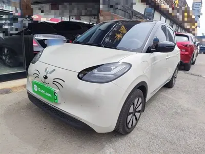 Wuling Bingo