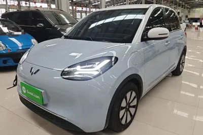 Wuling Bingo