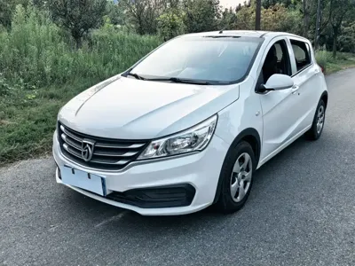 Baojun 310