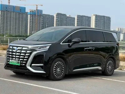 Denza Denza D9