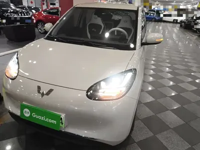 Wuling Bingo