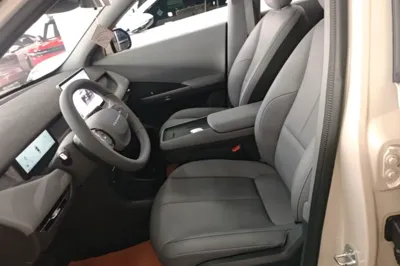 Dongfeng NAMMI 06