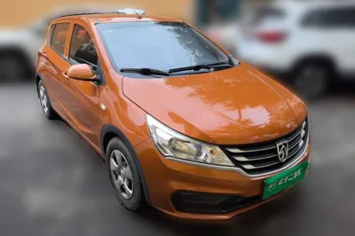 Baojun 310