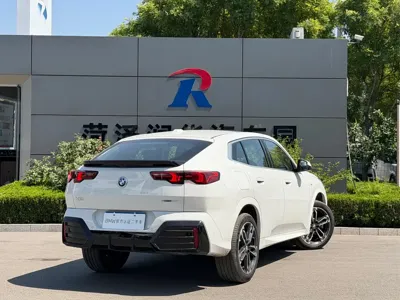 BMW X2 (Import)