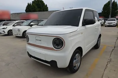 Geely Galaxy Panda