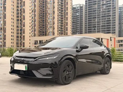 BYD L EV