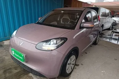 Wuling Bingo