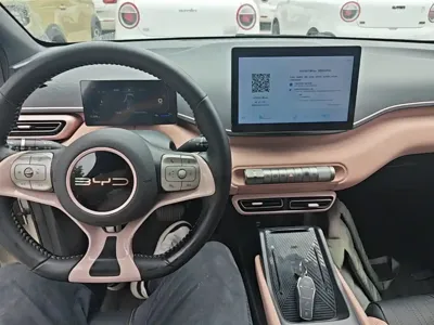 BYD Seagull