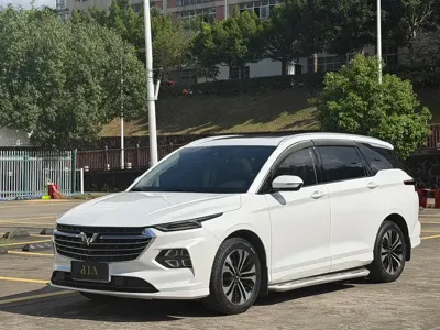 Wuling Victory