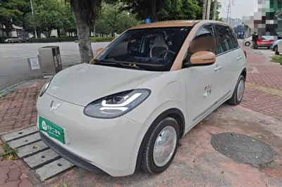 Wuling Bingo