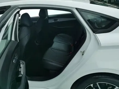 Geely Binrui