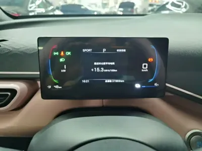 BYD Seagull