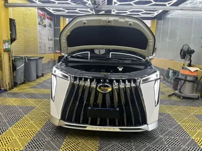 GAC Motor Trumpchi M8