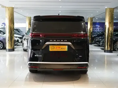 Denza Denza D9